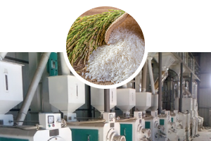 Rice Milling Industry